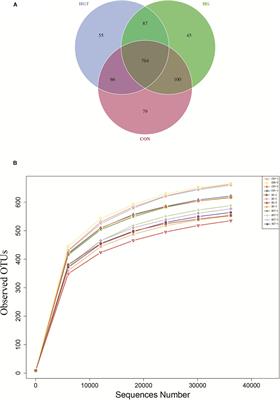 Illumina Sequencing and Metabolomics Analysis Reveal Thiamine Modulation of Ruminal Microbiota and Metabolome Characteristics in Goats Fed a High-Concentrate Diet